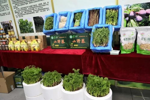 吉林有約 全民做冬丨探冬捕風(fēng)情，逛年貨盛會，盡享農(nóng)副土特產(chǎn)品